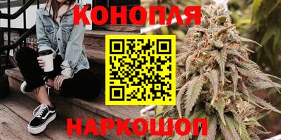 прущие грибы Нарткала