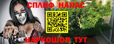 прущие грибы Нарткала