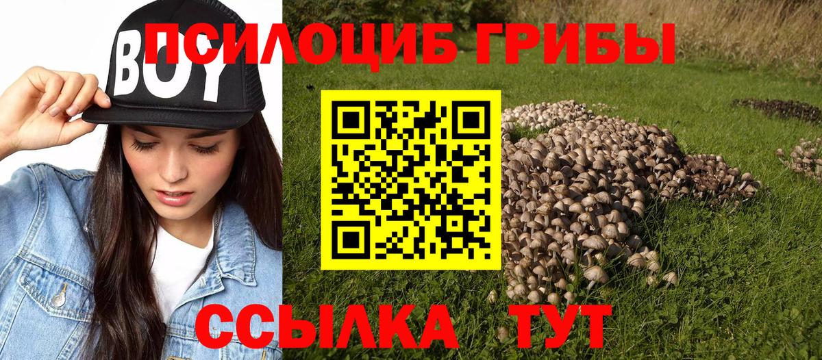 где продают наркотики  Галлюциногенные грибы прущие грибы  Вход с VPN  Шарыпово 